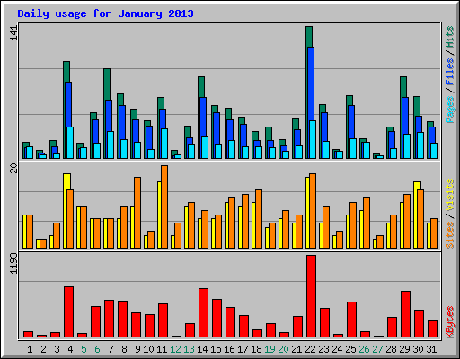 Daily usage for January 2013
