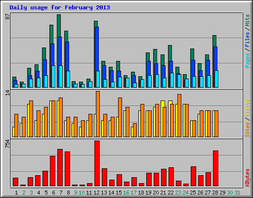 Daily usage for February 2013