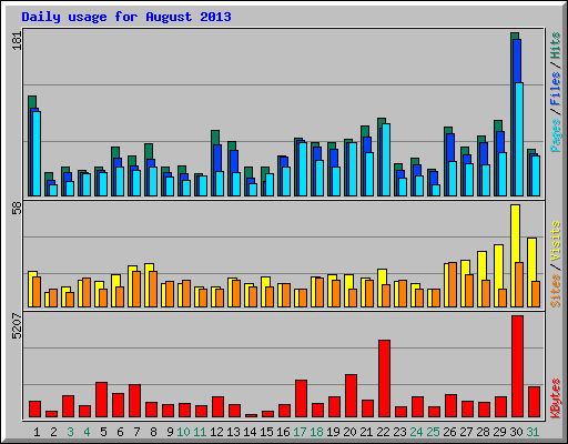 Daily usage for August 2013