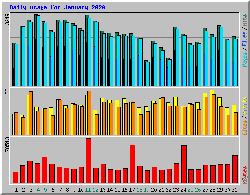 Daily usage for January 2020