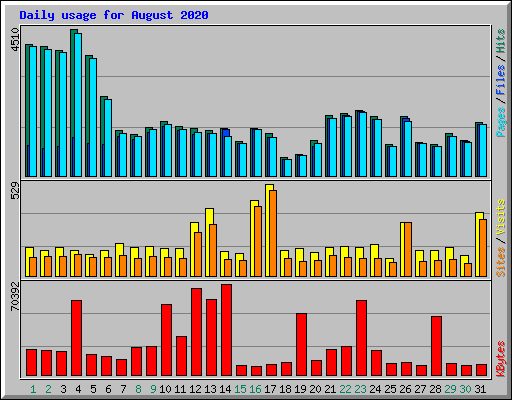 Daily usage for August 2020