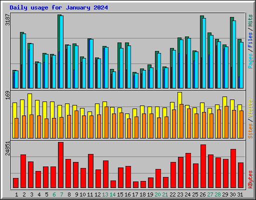 Daily usage for January 2024
