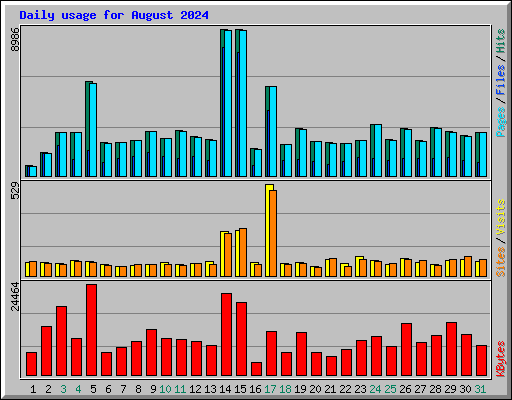 Daily usage for August 2024