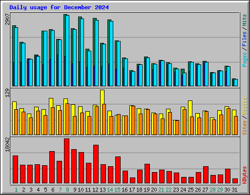 Daily usage for December 2024