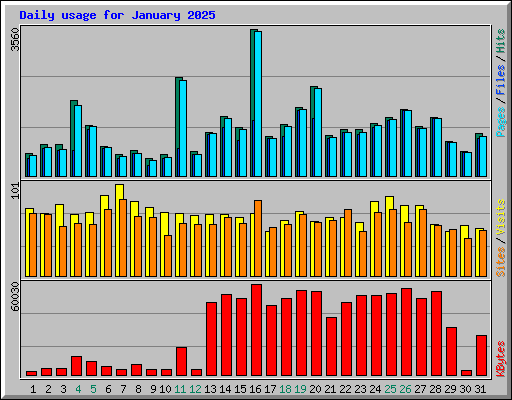 Daily usage for January 2025