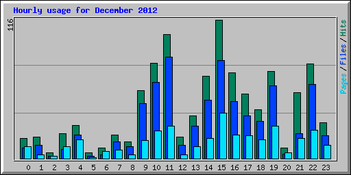 Hourly usage for December 2012