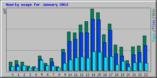 Hourly usage for January 2013