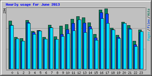 Hourly usage for June 2013