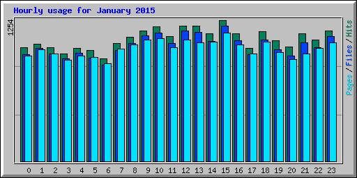 Hourly usage for January 2015