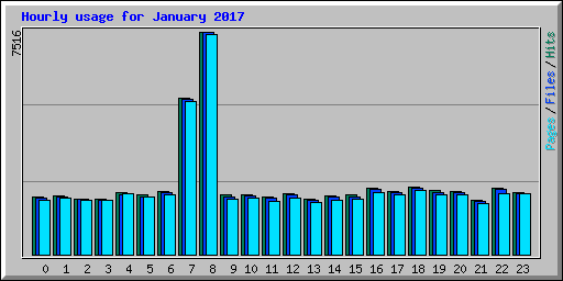 Hourly usage for January 2017