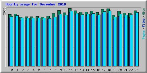 Hourly usage for December 2018