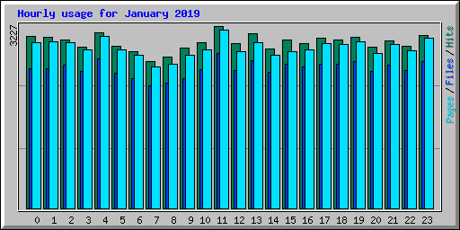 Hourly usage for January 2019