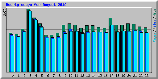 Hourly usage for August 2019