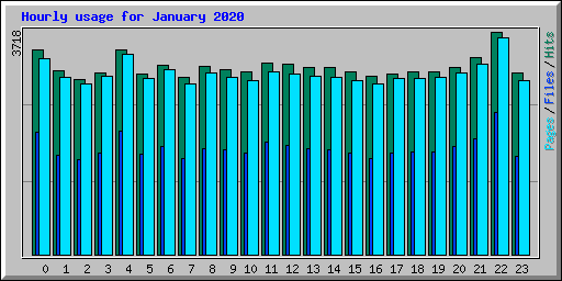Hourly usage for January 2020