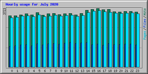Hourly usage for July 2020