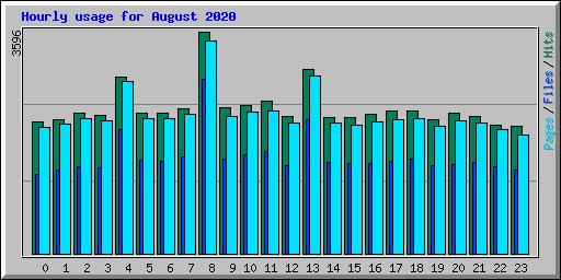 Hourly usage for August 2020