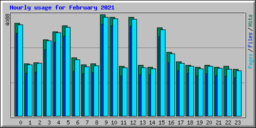 Hourly usage for February 2021