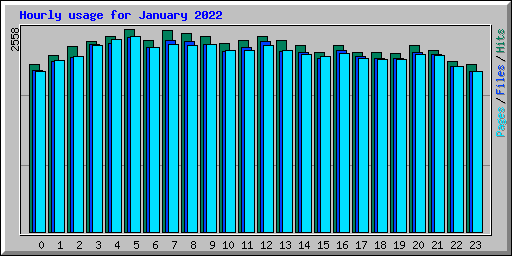 Hourly usage for January 2022