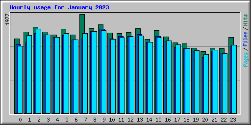 Hourly usage for January 2023