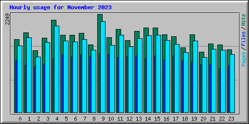 Hourly usage for November 2023