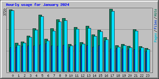Hourly usage for January 2024
