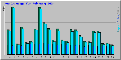 Hourly usage for February 2024