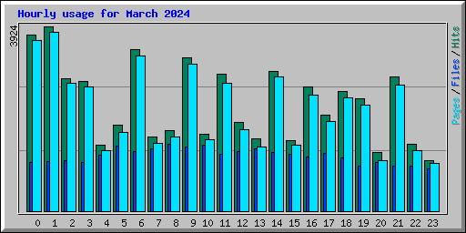 Hourly usage for March 2024