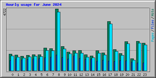 Hourly usage for June 2024