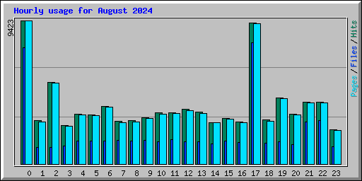 Hourly usage for August 2024