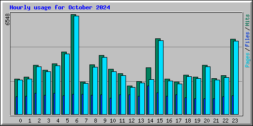 Hourly usage for October 2024
