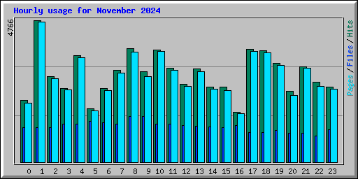 Hourly usage for November 2024