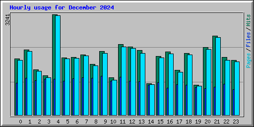 Hourly usage for December 2024