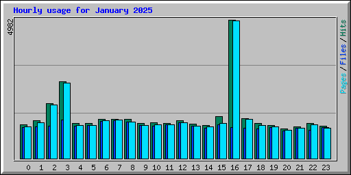 Hourly usage for January 2025