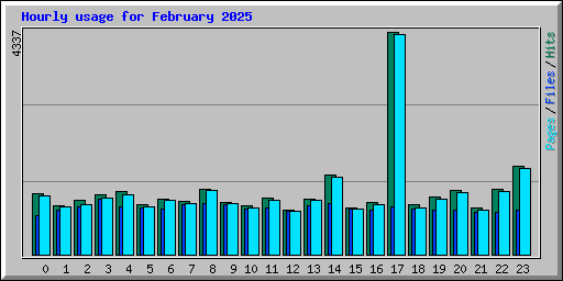 Hourly usage for February 2025
