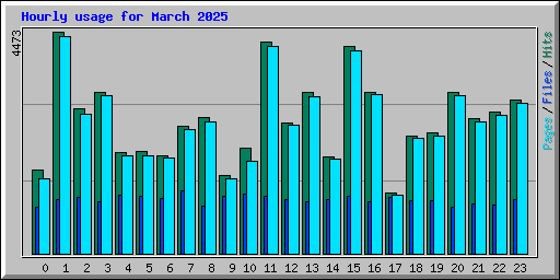 Hourly usage for March 2025