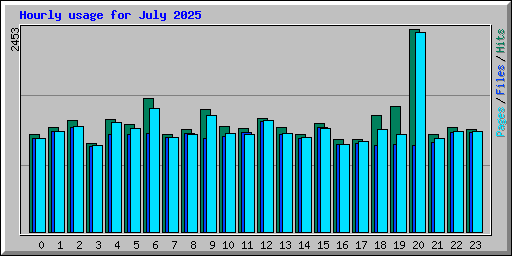Hourly usage for July 2025